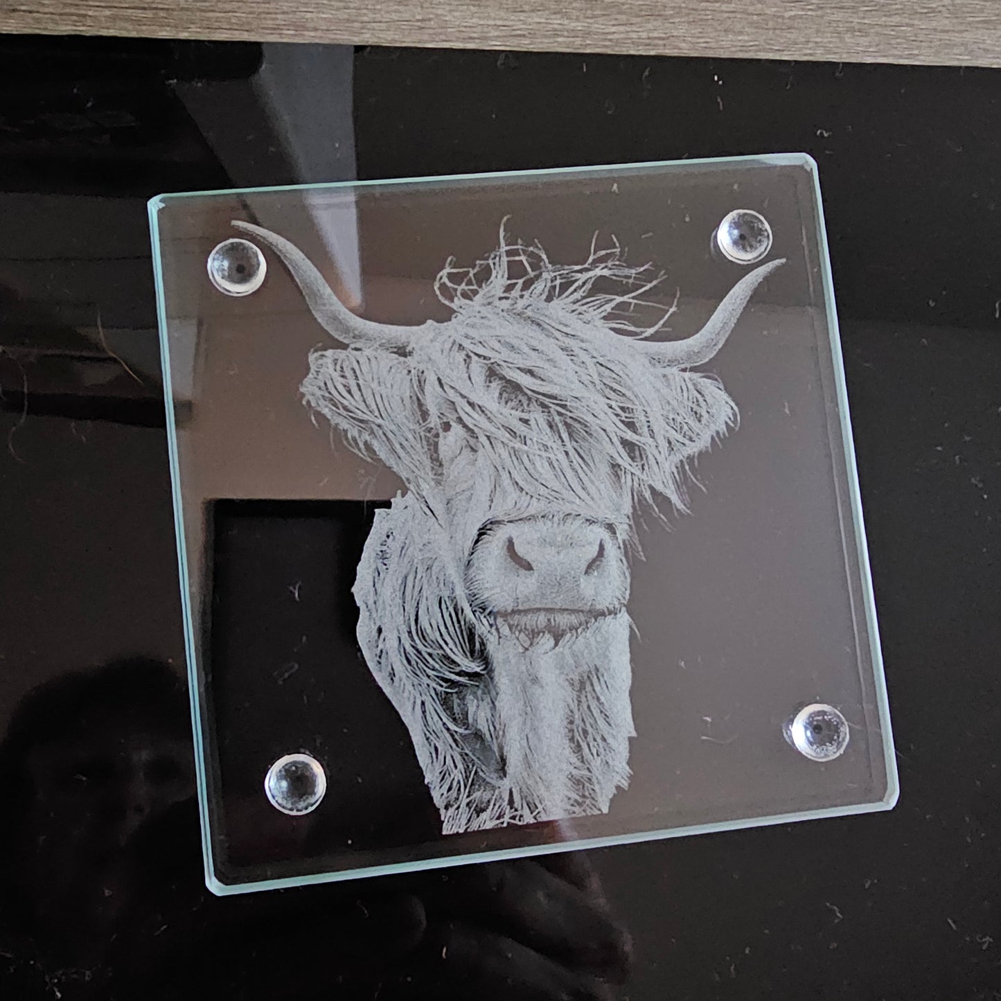 Square Glass Coasters - Highland Cow theme