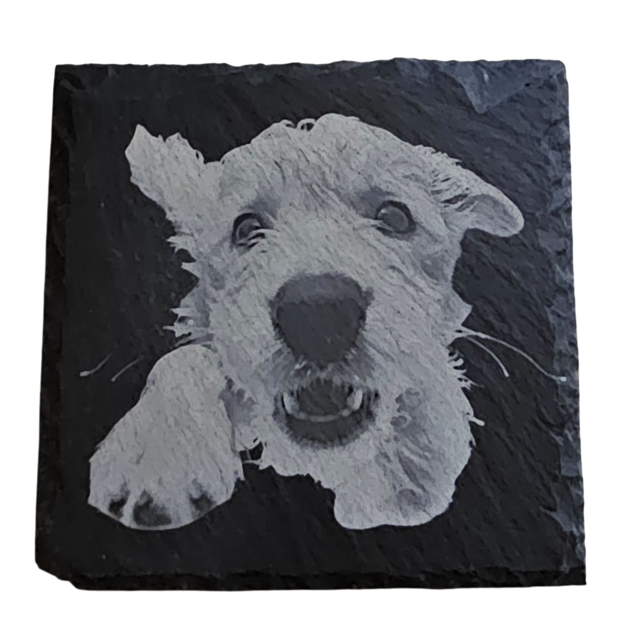 Dog Themed Slate Coasters - Square Natural Stone Coasters