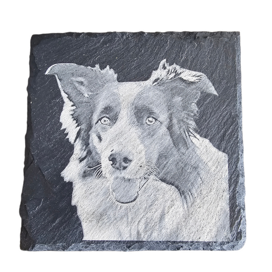 Dog Themed Slate Coasters - Square Natural Stone Coasters