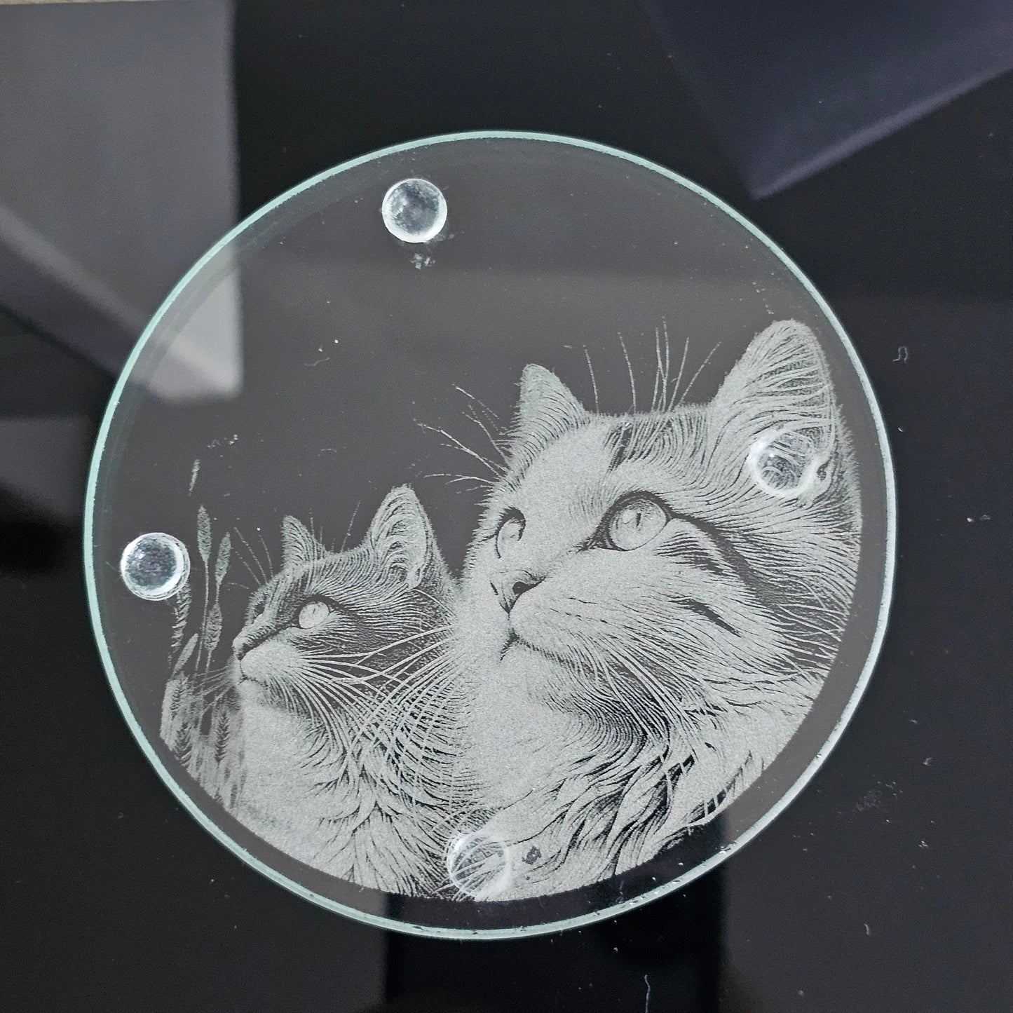 Round Glass Coasters - Choice of 4 Cat Designs