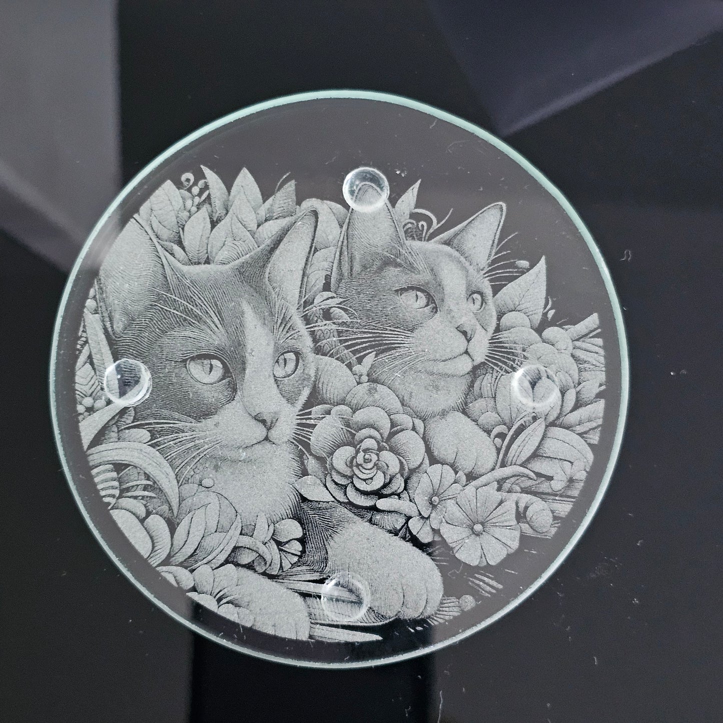 Round Glass Coasters - Choice of 4 Cat Designs