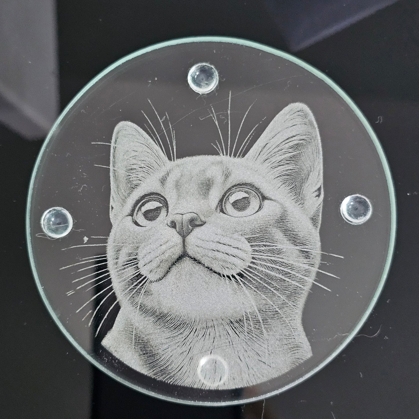 Round Glass Coasters - Choice of 4 Cat Designs