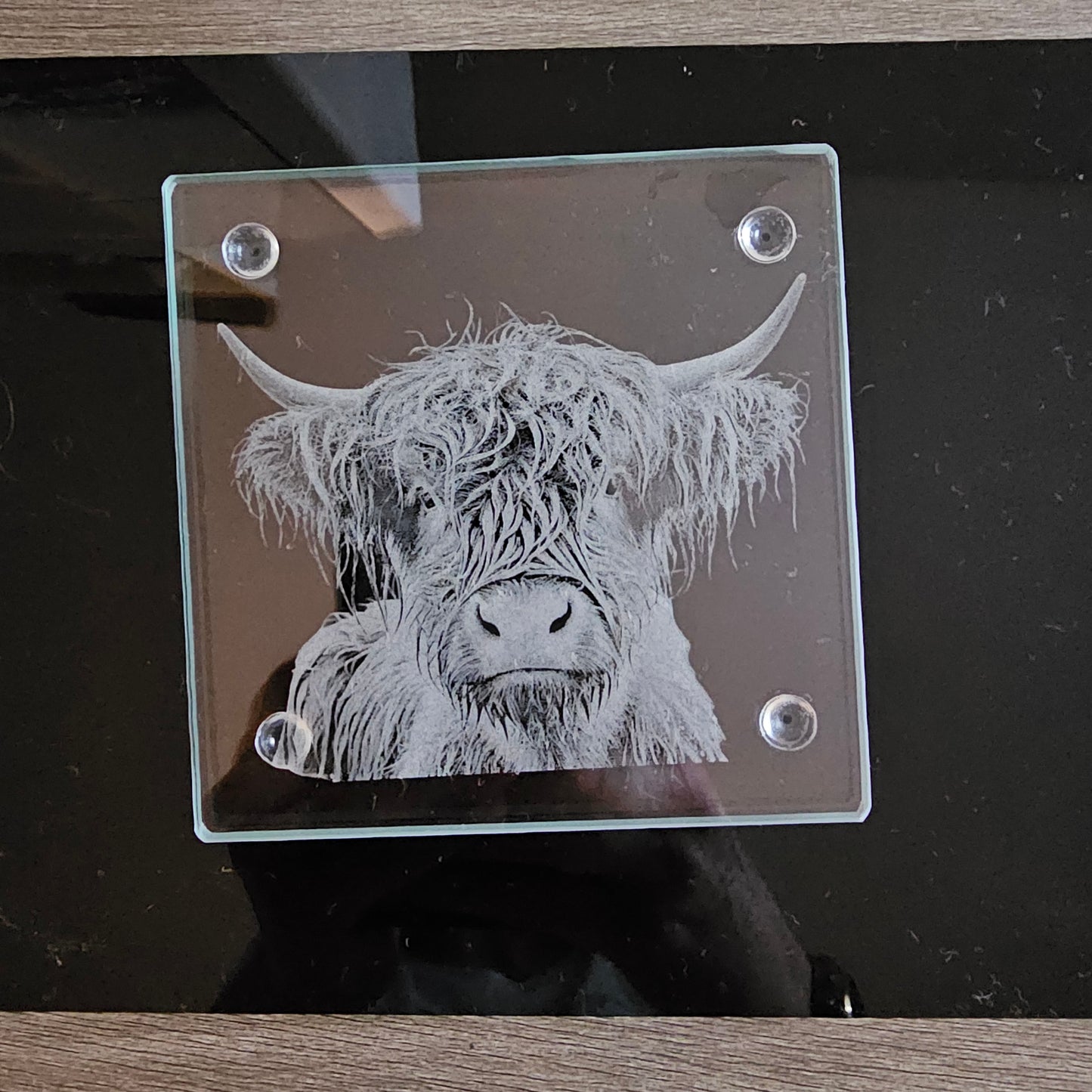 Square Glass Coasters - Highland Cow theme