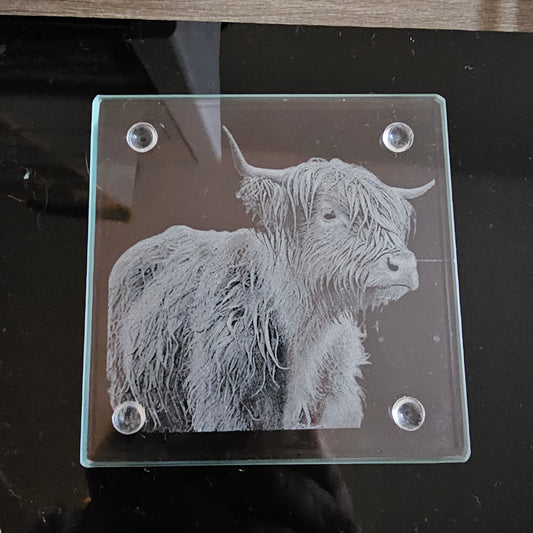 Square Glass Coasters - Highland Cow theme