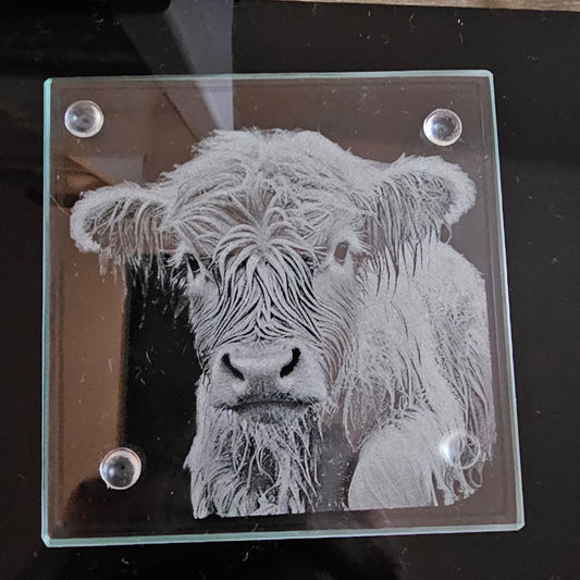 Square Glass Coasters - Highland Cow theme